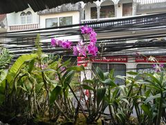 -自然餐厅(Phuket)