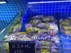 -渔民船说·北塘海鲜·天津菜·海肠捞饭(北塘古镇店)