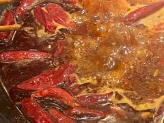 -朱光玉火锅馆(正弘城店)