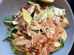 -osteria pelecanus鹈鹕野餐