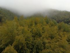 -浙东第一尖雪山欢乐谷