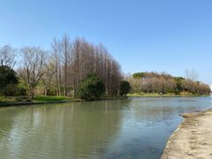 -新江湾城公园