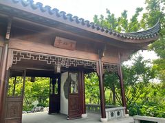 -上海滨江森林公园