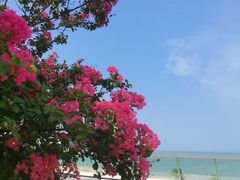 -珠海长隆海洋王国