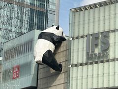 -鸡毛店·川菜(双楠店)