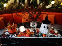 -花隐·美芙炫海菲秀皮肤管理中心