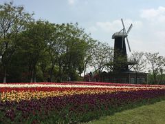 -上海鲜花港