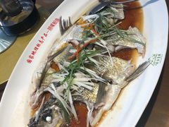 -丹江渔村(望京店)