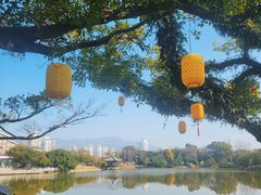 -江心屿景区
