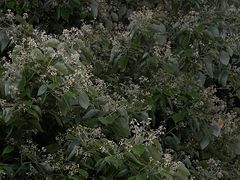 -星轶IMAX影城(桐乡吾悦广场旗舰店)