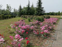 -沣东·沣河生态景区