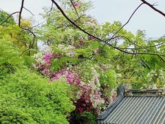 -深圳国际园林花卉博览园