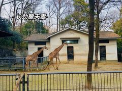 -杭州动物园