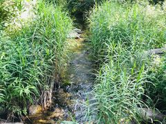 -碓臼峪自然风景区