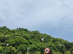 -野狸岛