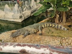 -石家庄市动物园