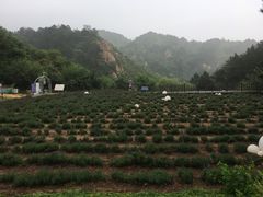 -云峰山自然风景区