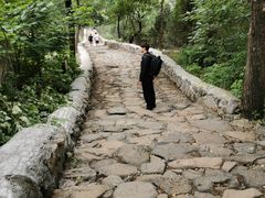 -阳台山自然风景区