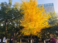 -辽宁大学(崇山校区)