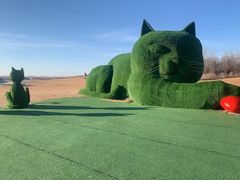 -秦皇岛阿尔卡迪亚滨海度假酒店