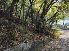-北山公园
