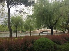 -莱西月湖公园
