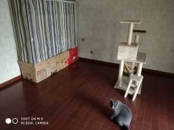 点击看大图 -唯一视觉婚纱摄影(李家村店)