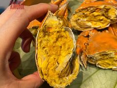 -新光酒家·河豚·海鲜·蟹料理(浦东店)