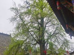 -金堂县云顶石城风景区