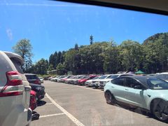 -武陵山森林公园