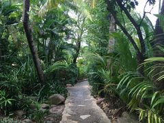 -三亚珠江南田温泉度假区