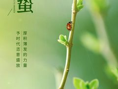 -裕和堂中医推拿艾灸(太古汇臻品店)