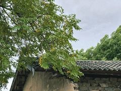 -羊楼洞