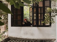 -深圳国际园林花卉博览园