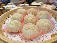 -富春茶社(国庆路店)