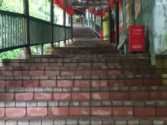 -鲤鱼塘农家山庄