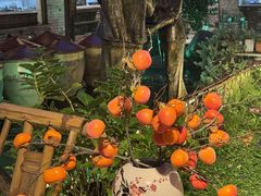 -土灶人家柴火鸡(都江堰店)