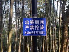 -八卦田遗址公园