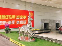 -西宁曹家堡国际机场-T2航站楼
