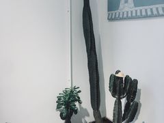 -收获咖啡HARVEST RESERVE(苍山店)