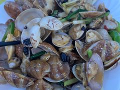 豉汁炒花甲-浩海美食店(闸坡店)