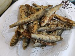-野菌皇海景野生菌火锅(滨海大道店)