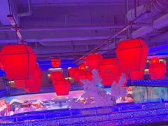 -山河屯铁锅炖鲜鹅·东北菜(开发区一店)