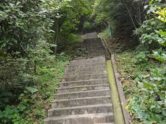 -桃花岭景区