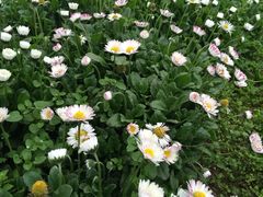 乐天花谷-乐天花谷