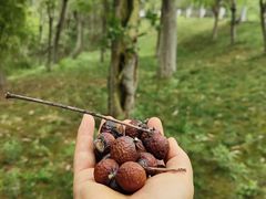 -白鹭湾湿地公园