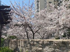 -贮水山儿童公园