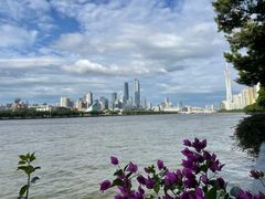 -珠江夜游广州塔·中大码头