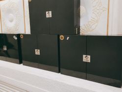 点击看大图 -悦色嘉丽科技美肤健康管理