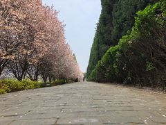-秦始皇帝陵博物院-丽山园